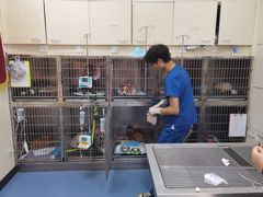-康成宠物医院24H·CT·核磁共振
