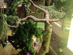 -绿茶餐厅(南昌王府井店)