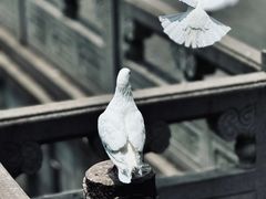 -重元寺