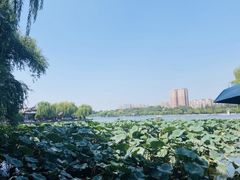 -济南大明湖景区