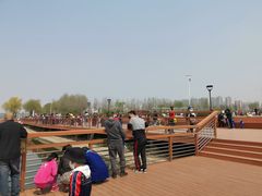-丁香湖公园