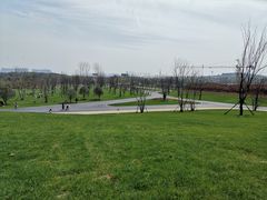 -盘龙城国家考古遗址公园