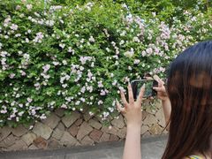 -滆湖低碳生态公园