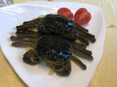 -南湖船菜大酒店