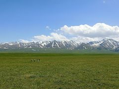 -新疆那拉提国家旅游度假区