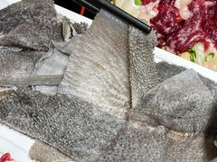-合意桐坑牛肉粿·鲜牛肉火锅(嵩山总店)