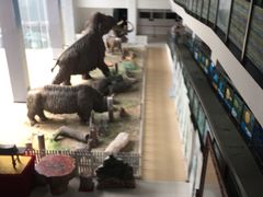 -中国第四纪冰川遗迹陈列馆