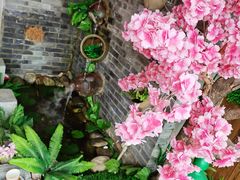 -恋羊时代黑山羊火锅(滨海大道店)