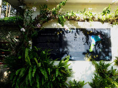-深圳市中科院仙湖植物园