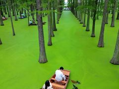 -同里国家湿地公园
