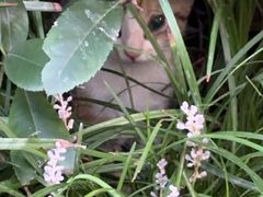 -自然风素食自助餐厅(黄河北路店)