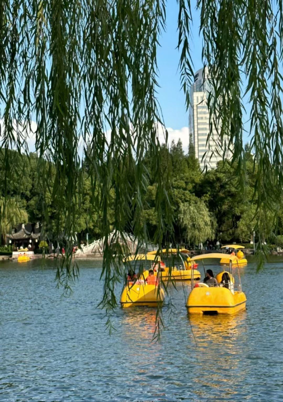 秋天的月湖公园