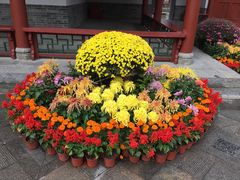 -迎泽公园