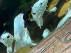 -太平洋海底世界