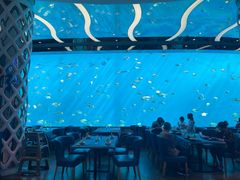 -瑞德姆美人鱼海底演艺主题餐厅(亚龙湾店)