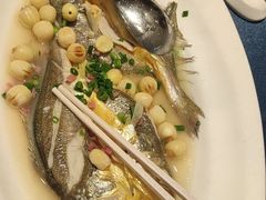 -得尔乐大酒店(南塘店)