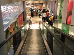 -盒马鲜生(红莲店)