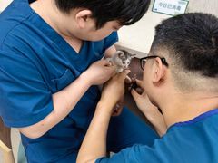 -爱派特动物医院·全科诊疗中心