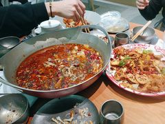 -靓蛙馆