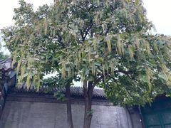 -张学良旧居陈列馆
