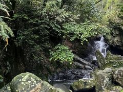 -藏龙百瀑风景区