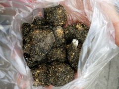 -叶氏麻糍(鼓浪屿店)