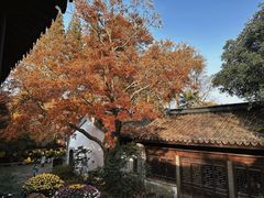 -惠山古镇·寄畅园