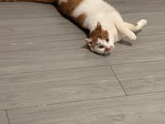 -佳雯宠物医院·皮肤科·内外科(春晓路分院)