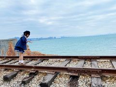 -海堤纪念公园