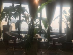-V-STAR威斯达•高级私人定制