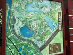 -王借岗森林公园