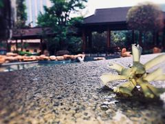-万象温泉景区