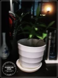 -木北造型