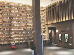 -深影国际影城(学院南路店CGS中国巨幕店)