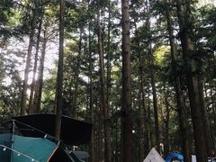 -重庆睡佛山森林公园