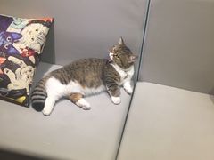 -小时光咖啡馆(开森度假森林店)