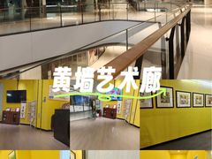 -杨梅红艺术教育(万象城教学中心)