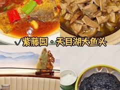 -紫藤园·天目湖大鱼头(南山竹海店)