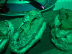 -巴伐利亚啤酒坊(意式风情街店)