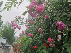 -黄浦路(地铁站)