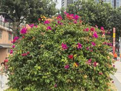 -陈家祠堂-游客中心