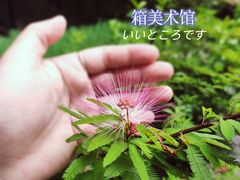 -箱美术馆私房菜(水晶郦城店)