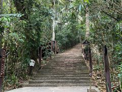 -西双版纳基诺山寨