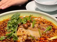 -陈麻婆豆腐总店