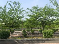 -辽宁大学(崇山校区)