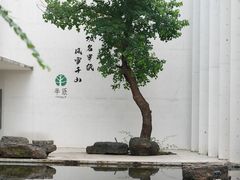-中国宣纸文化园