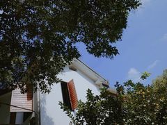 -Willing·Coffee&Brunch&Dinner(万达店)