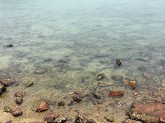 iphone_upload_pic-南丫岛