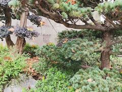 -鼓楼(西湖风景名胜区)