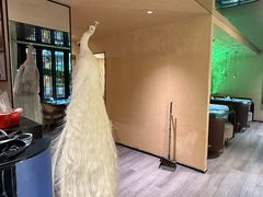 -滇西王子·山风云南菜·丽江地标品牌(古城南门店)